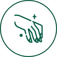 Siliqa