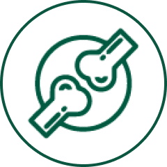 Siliqa